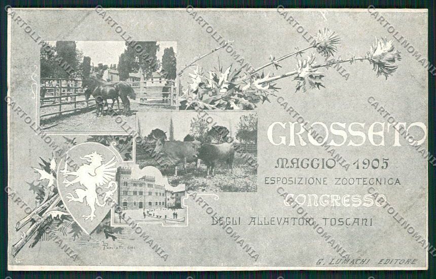 Grosseto Città Esposizione Zootecnica cartolina QQ3468 – fronte