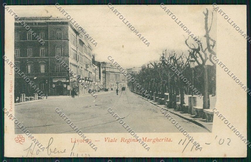 Livorno Città cartolina QQ3533 – fronte
