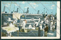 Livorno Città PIEGHINE cartolina QQ3567 – fronte