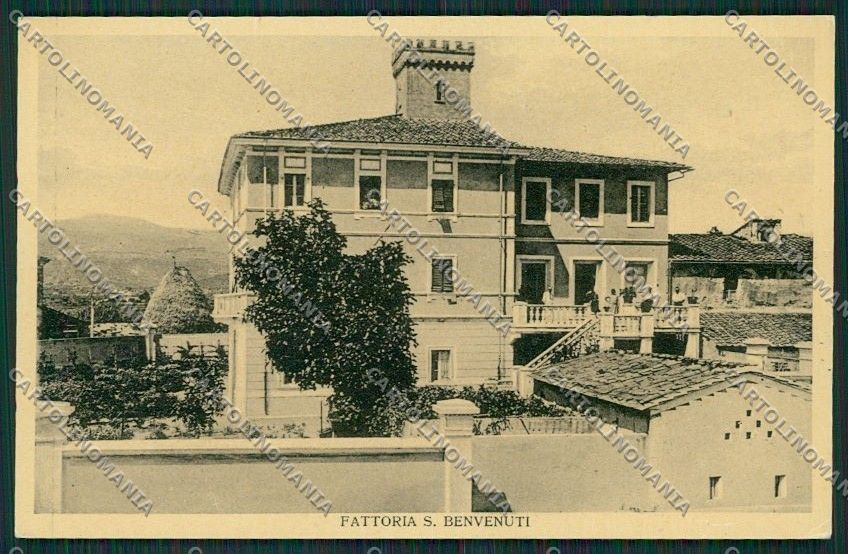 Livorno Città cartolina QQ3617 – fronte