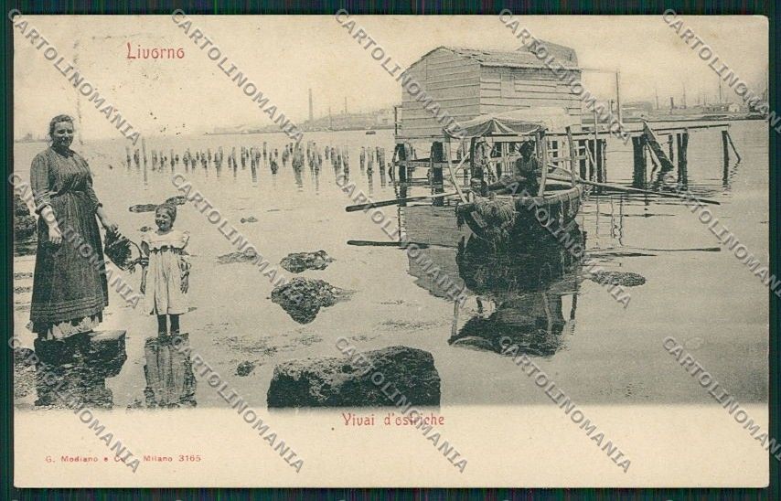 Livorno Città Allevamento Ostriche cartolina QQ3645 – fronte