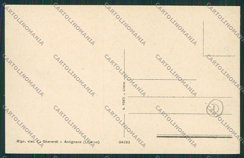 Livorno Città Antignano cartolina QQ3697 – retro