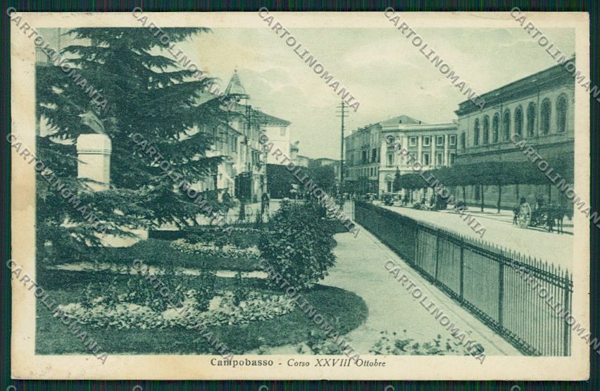 Campobasso Città cartolina QQ4391 – fronte