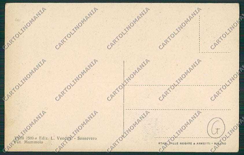 Foggia San Severo cartolina QQ4892 – retro