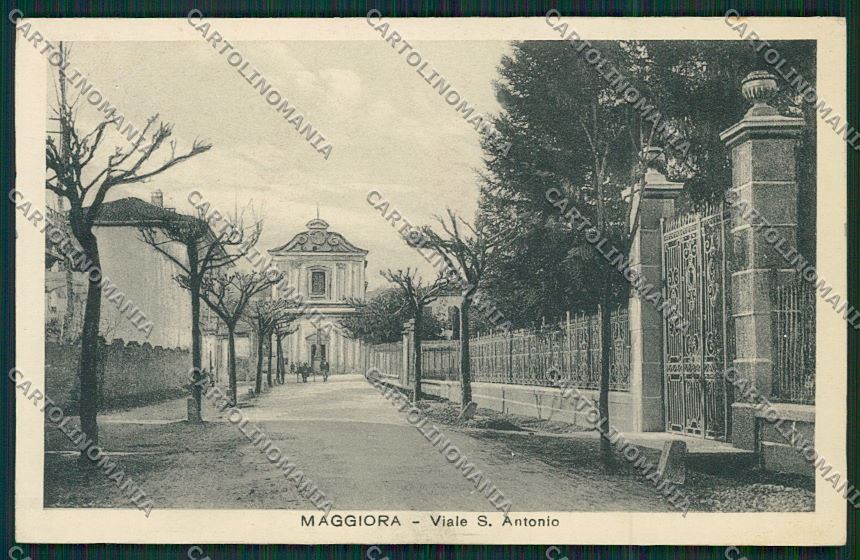 Novara Maggiora cartolina QQ5280 – fronte