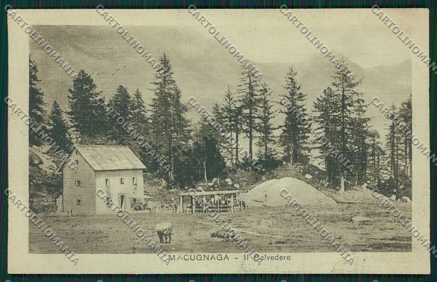 Verbania Macugnaga cartolina QQ5447 – fronte