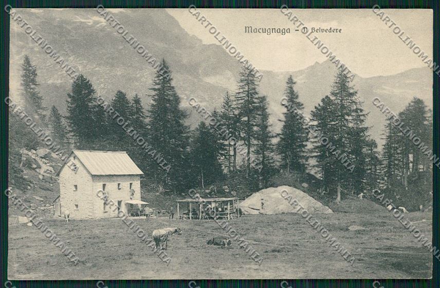 Verbania Macugnaga cartolina QQ5474 – fronte