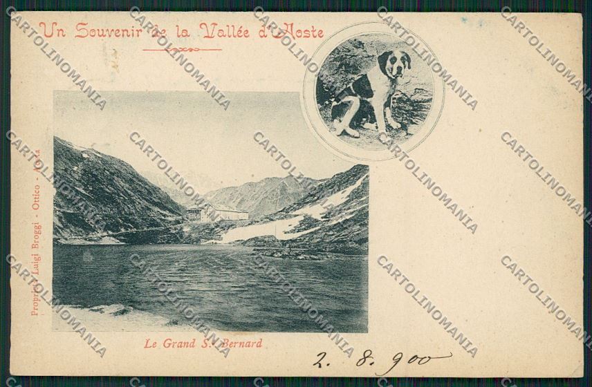 Aosta Gran San Bernardo Cane cartolina QQ5863 – fronte