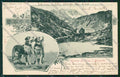 Aosta Gran San Bernardo Cane cartolina QQ5865 – fronte