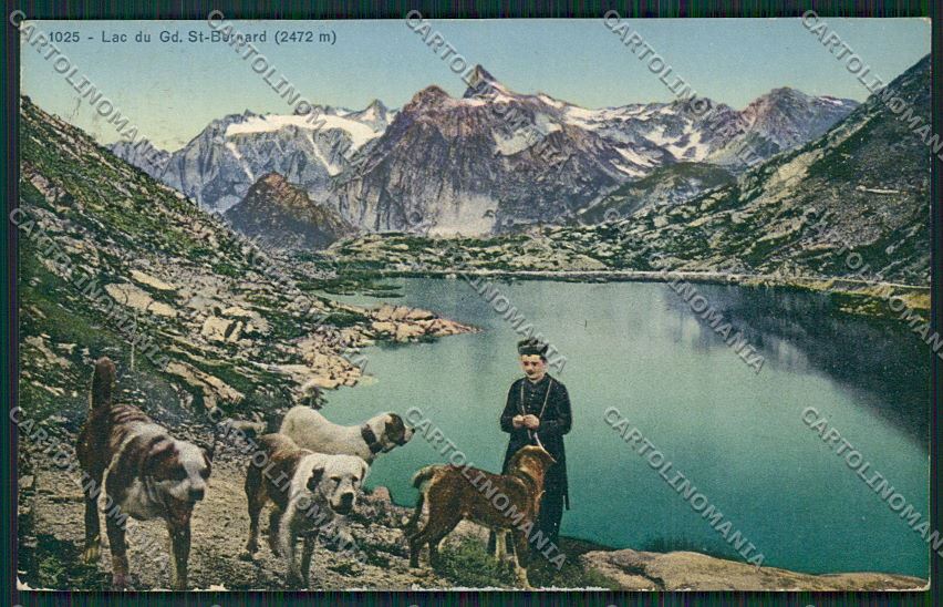Aosta Gran San Bernardo Cane cartolina QQ5870 – fronte