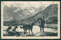Aosta Gran San Bernardo Cane cartolina QQ5883 – fronte