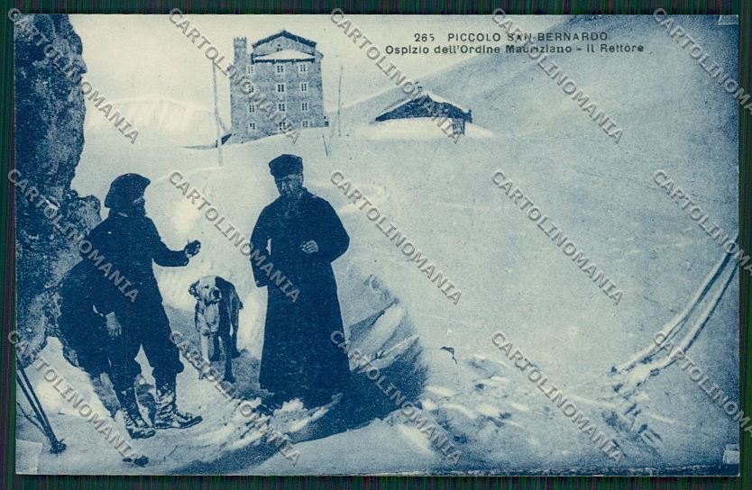 Aosta Piccolo San Bernardo Cane cartolina QQ5924 – fronte
