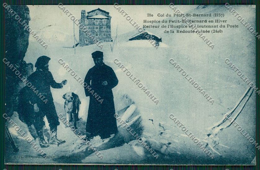 Aosta Piccolo San Bernardo Cane cartolina QQ5946 – fronte