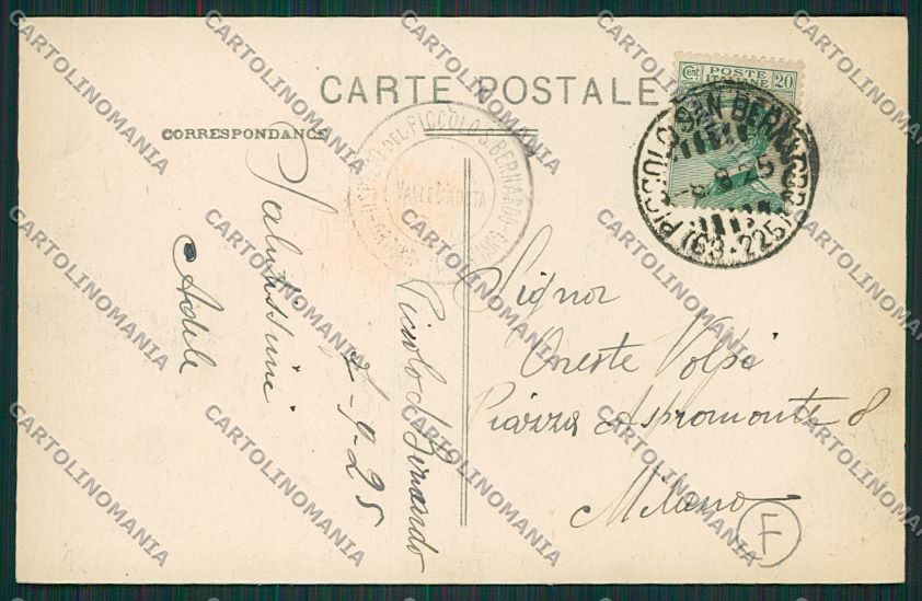 Aosta Piccolo San Bernardo Cane cartolina QQ5946 – retro