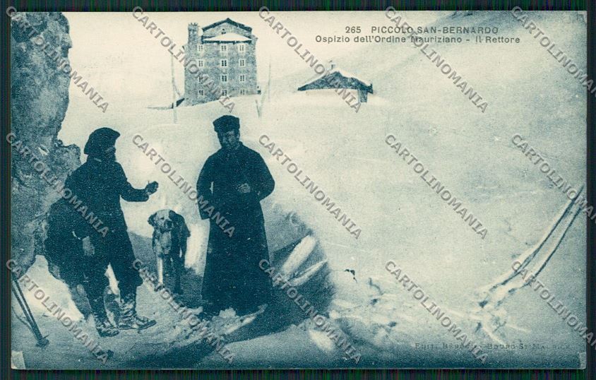Aosta Piccolo San Bernardo Cane cartolina QQ6097 – fronte