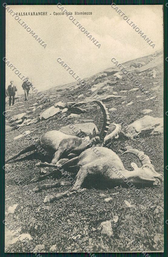 Aosta Valsavaranche cartolina QQ6195 – fronte