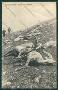 Aosta Valsavaranche cartolina QQ6195 – fronte