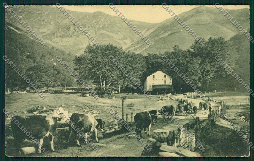 Biella Oropa Ca Turin cartolina QQ6447 – fronte