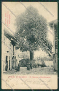 Varese Somma Lombardo cartolina QQ6734 – fronte