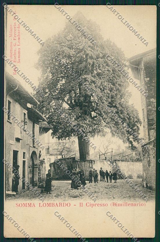 Varese Somma Lombardo cartolina QQ6735 – fronte