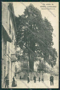 Varese Somma Lombardo cartolina QQ6737 – fronte