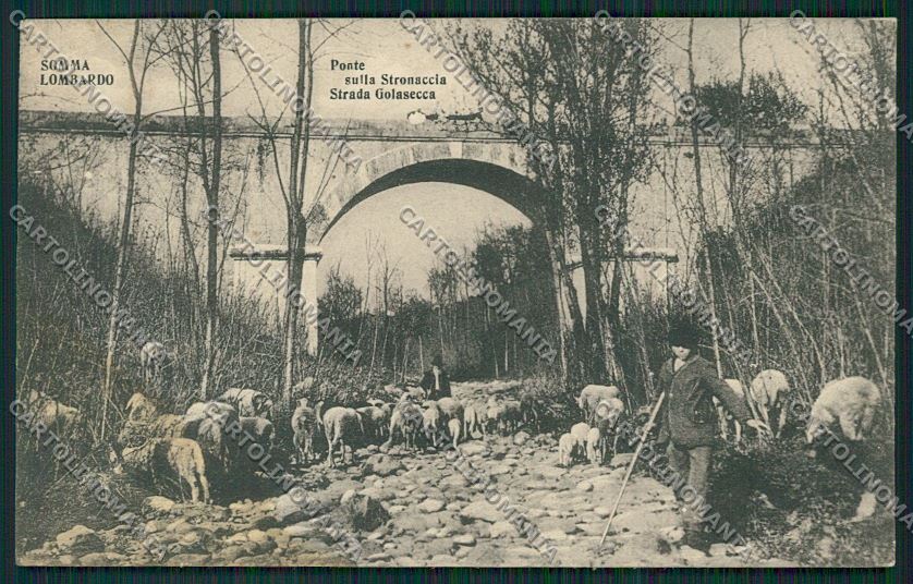 Varese Somma Lombardo MACCHIA cartolina QQ6756 – fronte