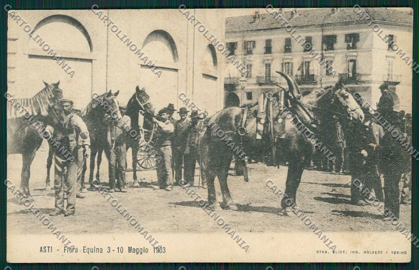 Asti città Fiera Equina Cavalli cartolina QQ7050 – fronte