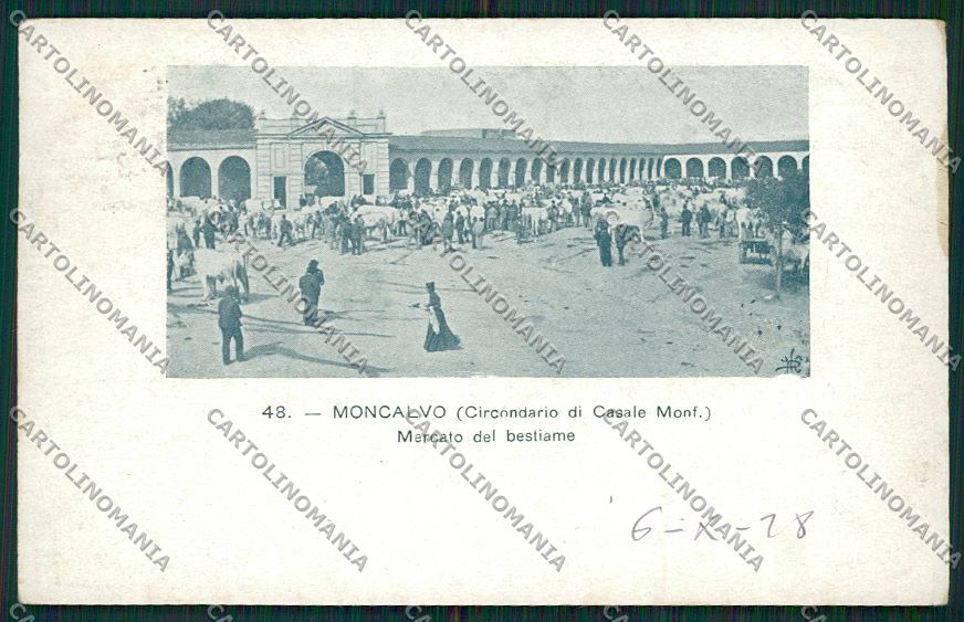 Asti Moncalvo Mercato Bestiame cartolina QQ7106 – fronte