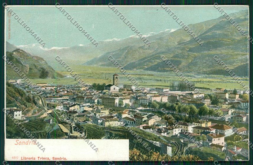 Sondrio città cartolina QQ7341 – fronte