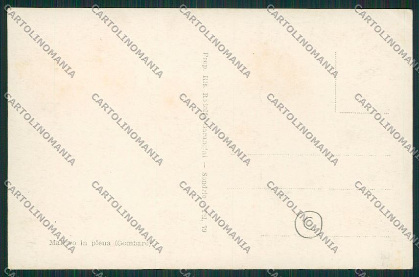 Sondrio città alluvione Foto cartolina QQ7359 – retro