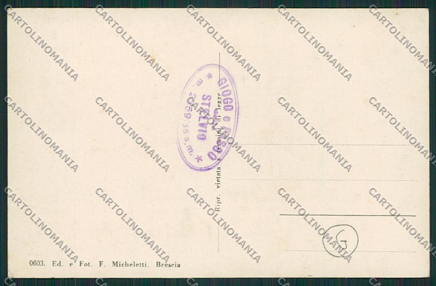 Sondrio Passo Stelvio Foto cartolina QQ7565 – retro