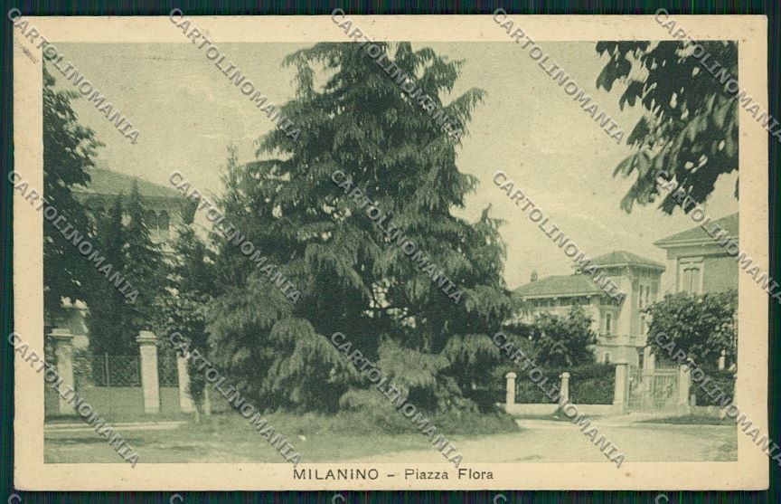 Milano Cusano Milanino cartolina QQ8078 – fronte