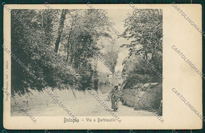 Bologna città cartolina QQ8883 – fronte