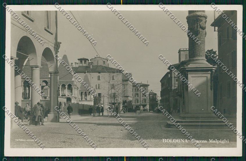 Bologna città Piazza Malpighi Foto cartolina QQ8908 – fronte