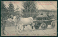 Bologna Costumi trasporto uve cartolina QQ9316 – fronte