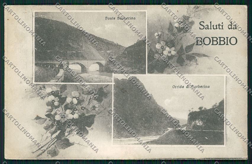 Piacenza Bobbio Saluti da cartolina QQ9768 – fronte