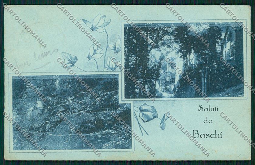 Piacenza Boschi Saluti da cartolina QQ9839 – fronte