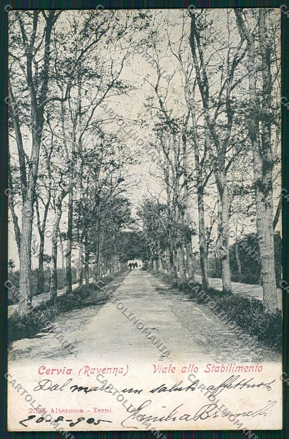 Ravenna Cervia Alterocca 2054 cartolina QQ9913 – fronte