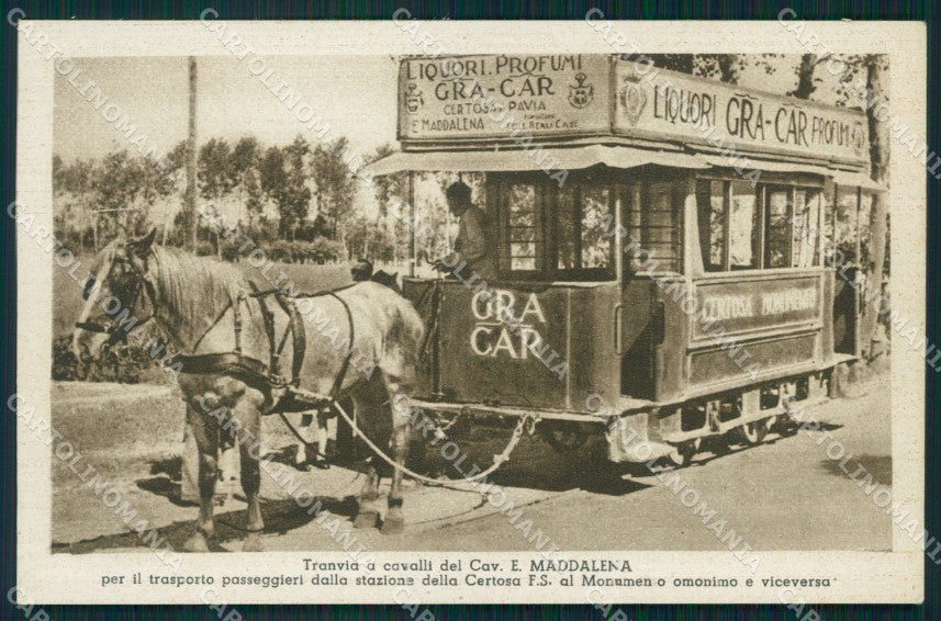 Pavia Certosa di Tranvia a Cavalli cartolina QT0101 – fronte