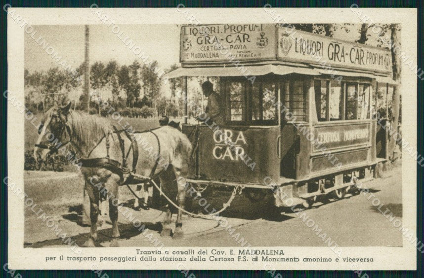 Pavia Certosa di Tranvia a Cavalli cartolina QT0102 – fronte