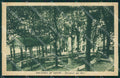 Pavia Broni Recoaro di cartolina QT0106 – fronte