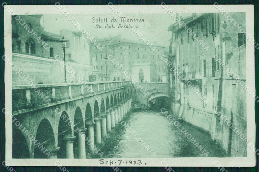 Mantova Città cartolina QT0550 – fronte
