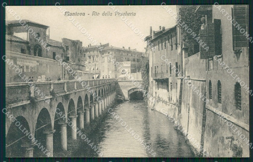 Mantova Città cartolina QT0551 – fronte