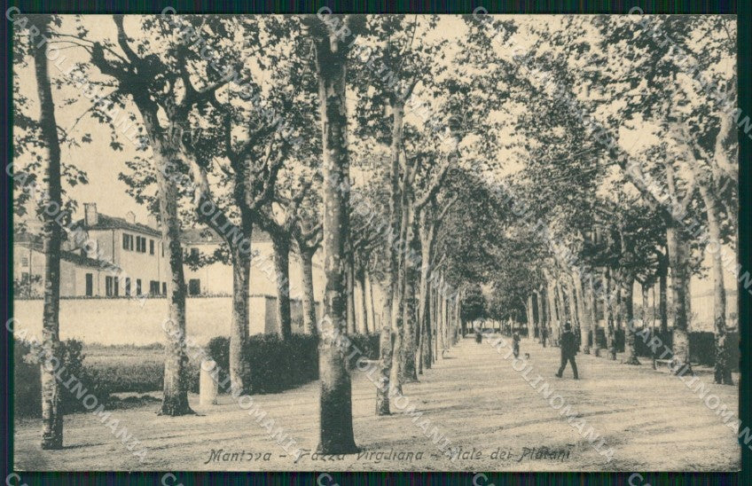 Mantova Città cartolina QT0627 – fronte