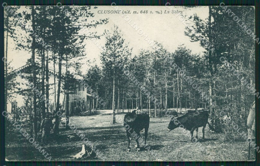Bergamo Clusone Mucche cartolina QT0734 – fronte