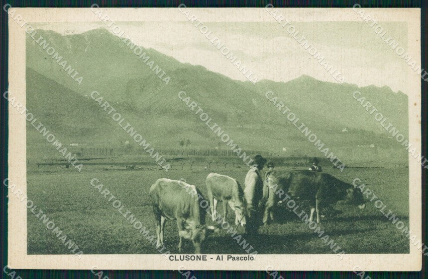 Bergamo Clusone Mucche cartolina QT0749 – fronte