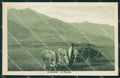 Bergamo Clusone Mucche cartolina QT0749 – fronte