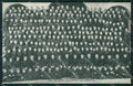 Bergamo Albino Scuola Apostolica del Sacro Cuore cartolina QT0761 – fronte