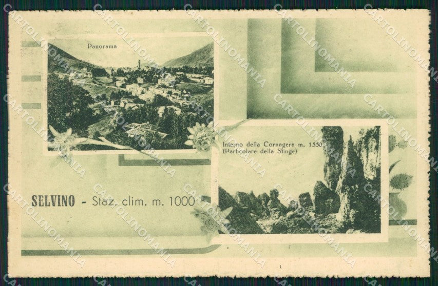 Bergamo Selvino cartolina QT0778 – fronte