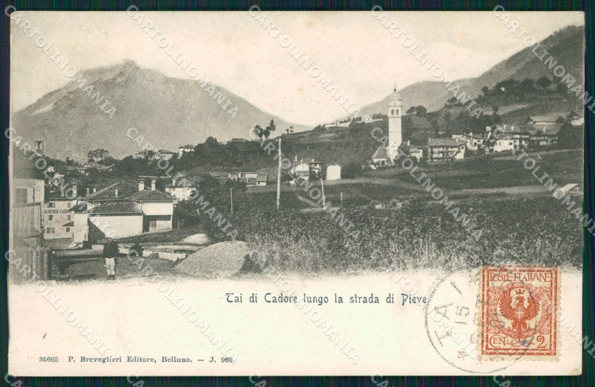 Belluno Tai di Cadore cartolina QT0845 – fronte